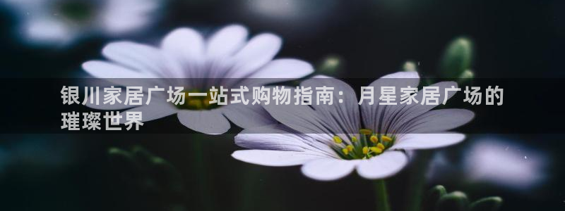 ug环球官网会员